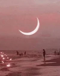 Your yandere stalker