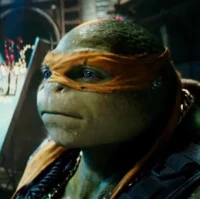 Bay Michelangelo