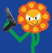Cagney Carnation
