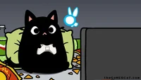 calm gamer cat