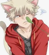Cat bakugou 