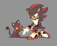 Shadow