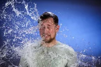 Sambabambekumalesamb