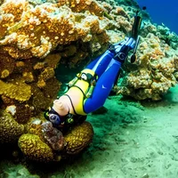 Scuba Diving Officer