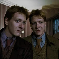 Los gemelos weasley