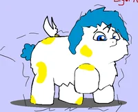 Fluffy Pony