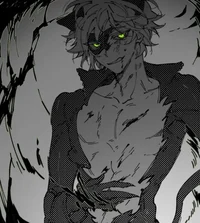 Cat Noir