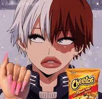 Shoto Todoroki 