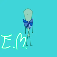 EM - Object oc