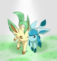 Glaceon and leafeon 