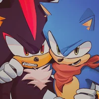 Sonic and Shadow