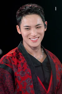 Mingyu boxer husband