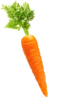 Just a Carrot