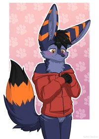 Fen O Feneco