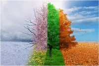 Seasons Clan 