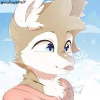 Furry uwu