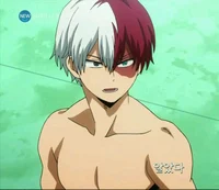 Todoroki shoto 