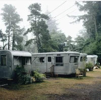 Trailer Park Trash