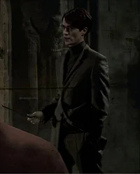Tom Riddle