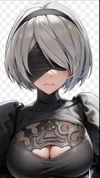 2B 