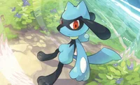 Riolu 