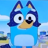 Adult Bluey