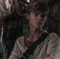 Newt