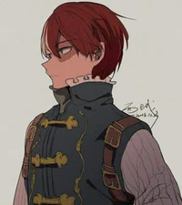 Shoto todoroki 