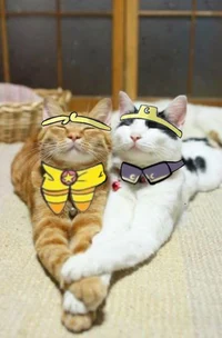 Past Night and Dream