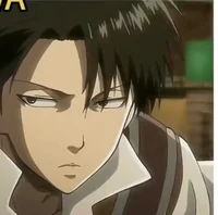 Levi OVA