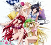 High School DXD 