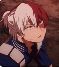 Todoroki