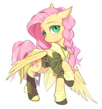 War Fluttershy