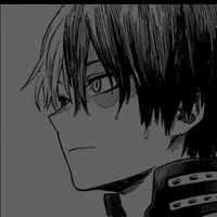 Shoto Todoroki