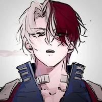 Shoto Todoroki