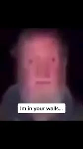 Man in your walls