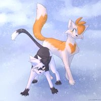 Swiftpaw