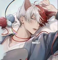 Cat Todoroki