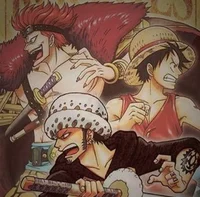Law - Luffy - Kid
