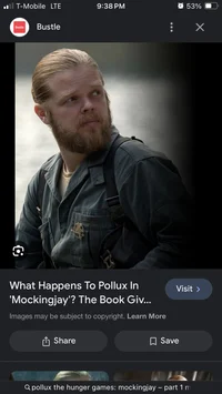Pollux_hg