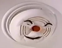 Seymour Smoke Alarm