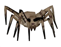 Bunker spider