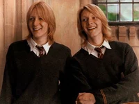 Los gemelos Weasley 