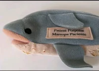 Patient Porpoise 
