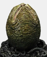 Alien Egg