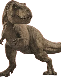 Rexy