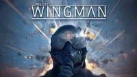 Project Wingman RP