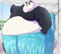 Mr Vallion Simon Big