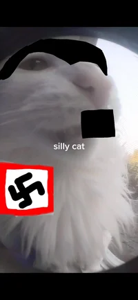 Sillykat