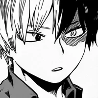 BMHA- Shoto Todoroki